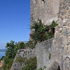 DSC 3848